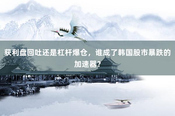 获利盘回吐还是杠杆爆仓，谁成了韩国股市暴跌的加速器？