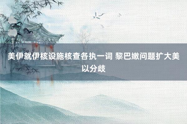 美伊就伊核设施核查各执一词 黎巴嫩问题扩大美以分歧