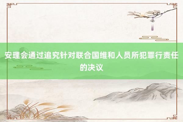 安理会通过追究针对联合国维和人员所犯罪行责任的决议