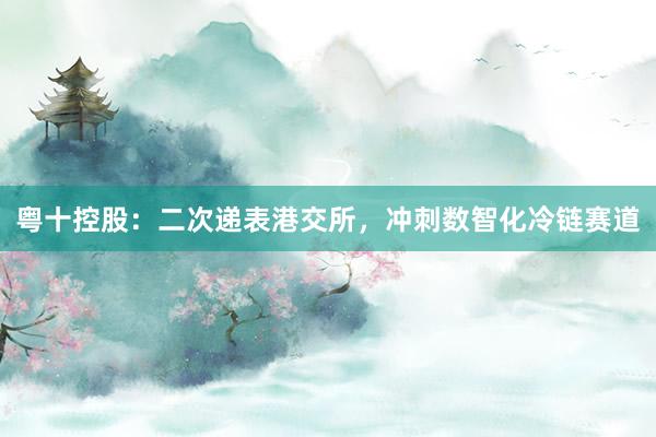 粤十控股：二次递表港交所，冲刺数智化冷链赛道