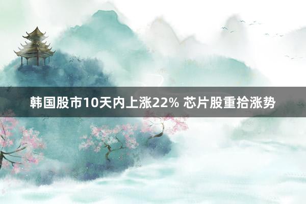 韩国股市10天内上涨22% 芯片股重拾涨势