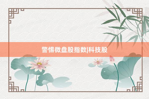 警惕微盘股指数|科技股