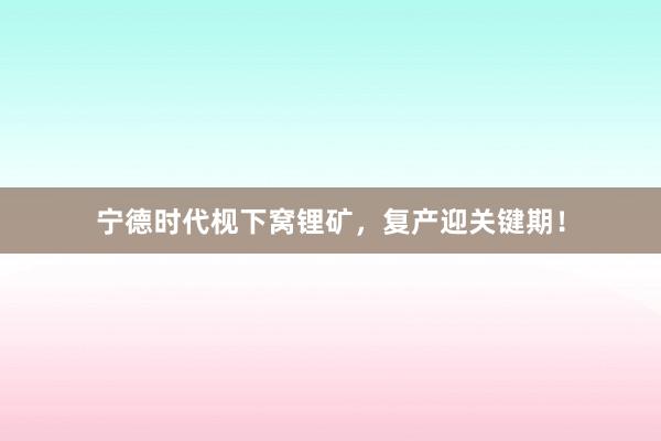 宁德时代枧下窝锂矿，复产迎关键期！