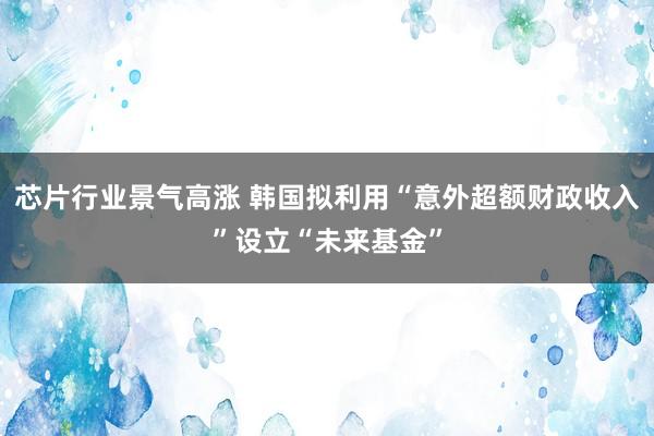 芯片行业景气高涨 韩国拟利用“意外超额财政收入”设立“未来基金”