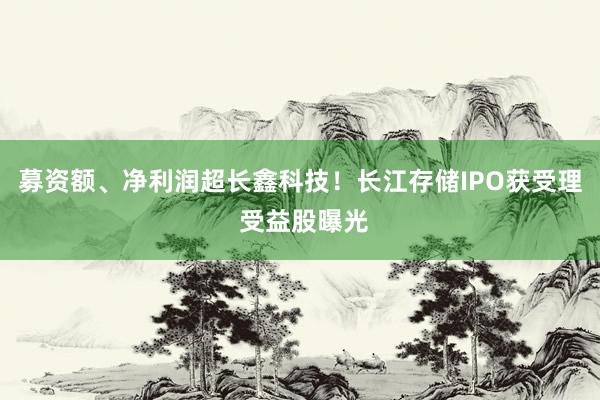 募资额、净利润超长鑫科技！长江存储IPO获受理 受益股曝光