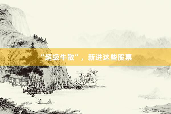 “超级牛散”，新进这些股票