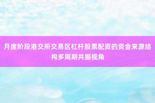 月度阶段港交所交易区杠杆股票配资的资金来源结构多周期共振视角