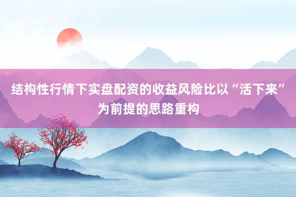 结构性行情下实盘配资的收益风险比以“活下来”为前提的思路重构