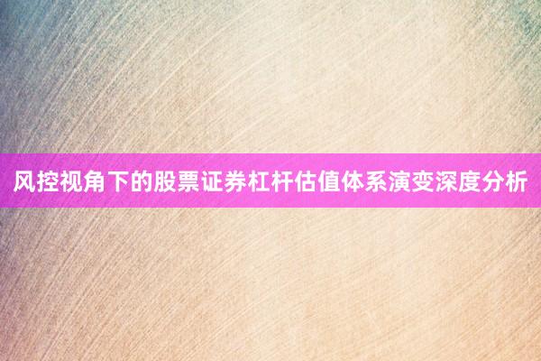 风控视角下的股票证券杠杆估值体系演变深度分析