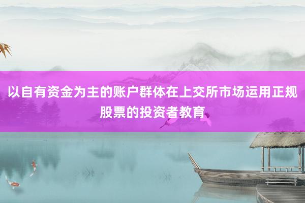 以自有资金为主的账户群体在上交所市场运用正规股票的投资者教育