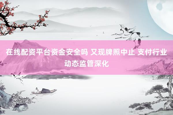 在线配资平台资金安全吗 又现牌照中止 支付行业动态监管深化