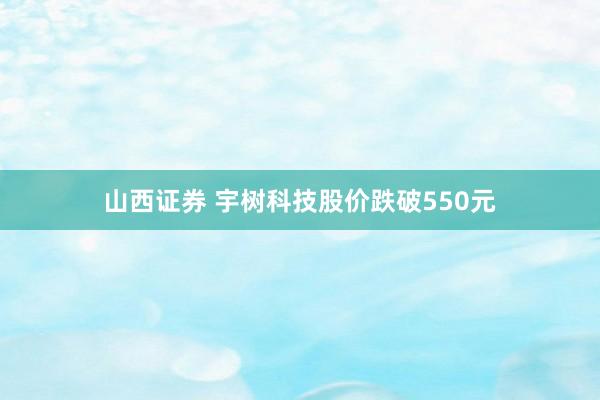 山西证券 宇树科技股价跌破550元