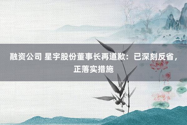 融资公司 星宇股份董事长再道歉：已深刻反省，正落实措施