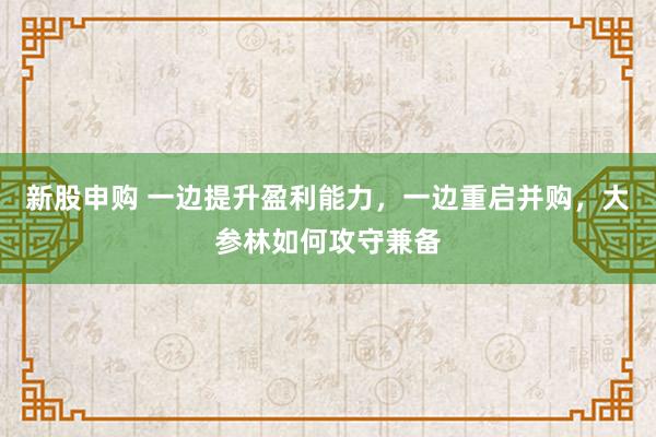 新股申购 一边提升盈利能力，一边重启并购，大参林如何攻守兼备