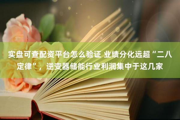 实盘可查配资平台怎么验证 业绩分化远超“二八定律”，逆变器储能行业利润集中于这几家