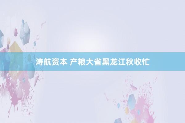 涛航资本 产粮大省黑龙江秋收忙