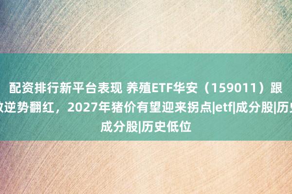 配资排行新平台表现 养殖ETF华安(159011)跟踪指数逆势翻红,2027年猪价有望迎来拐点|etf|成分股|历史低位